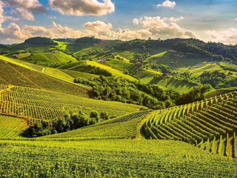 L'Orchidhea Apartment Savigliano Zewnętrze zdjęcie